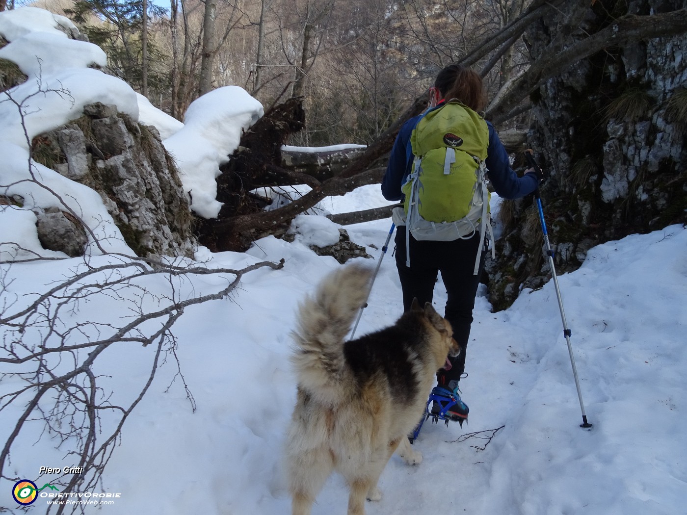 38 Proseguiamo per il Monte Poieto pestando neve.JPG